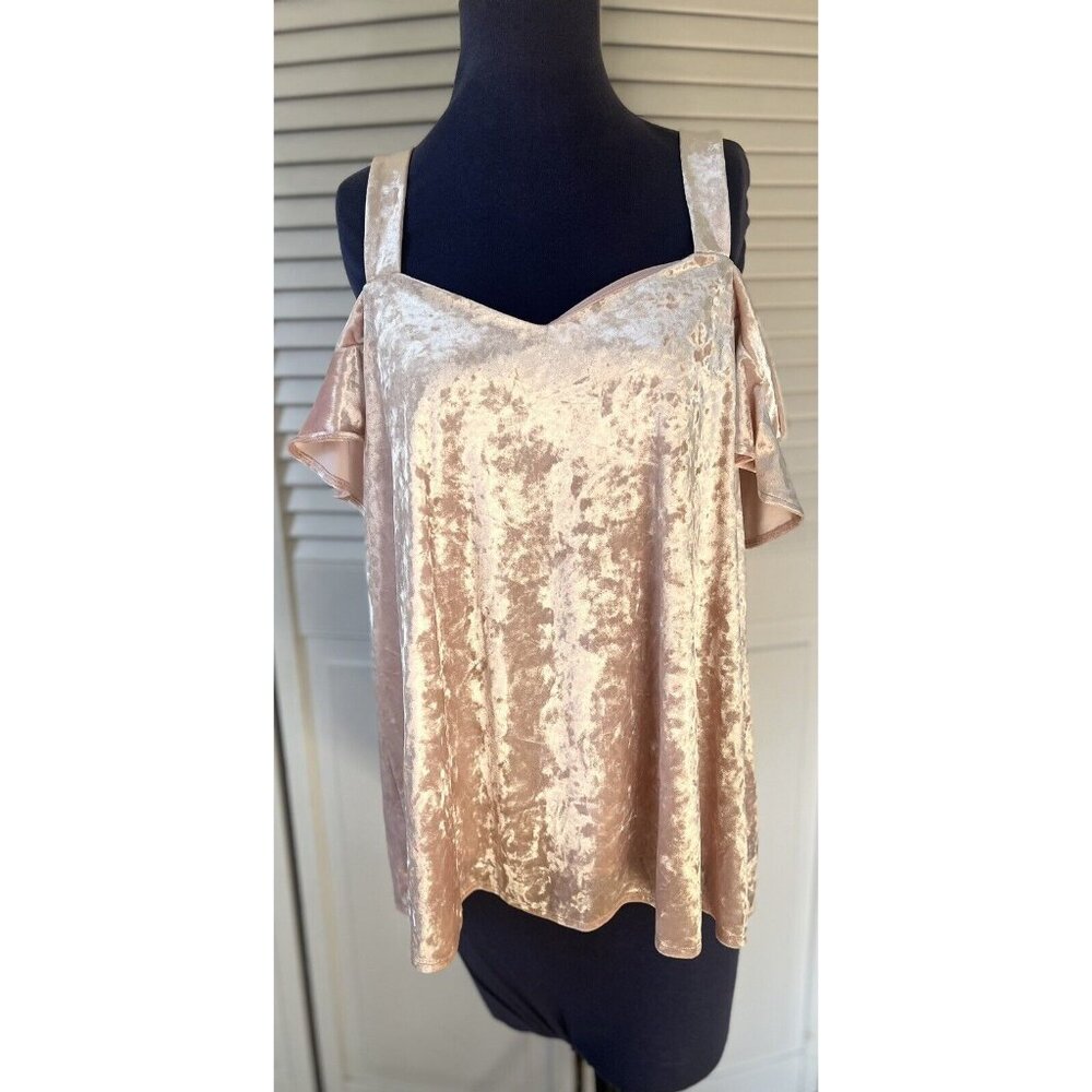 Kaari Blue Women’s Top Light Pink Velvet Size L